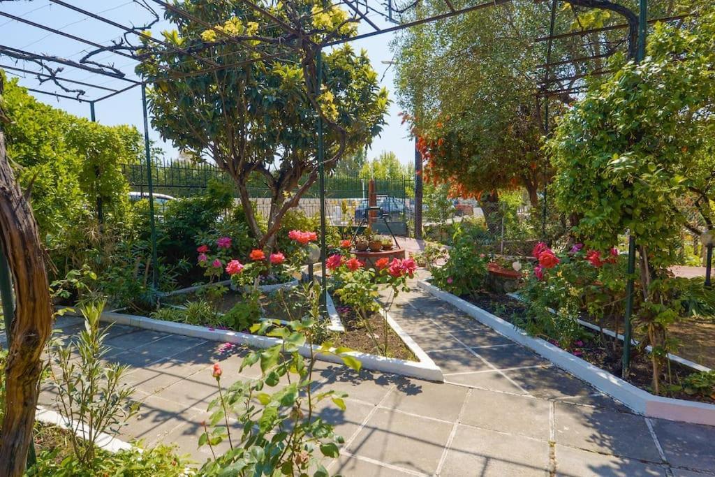 The Red House In Dassia Dış mekan fotoğraf