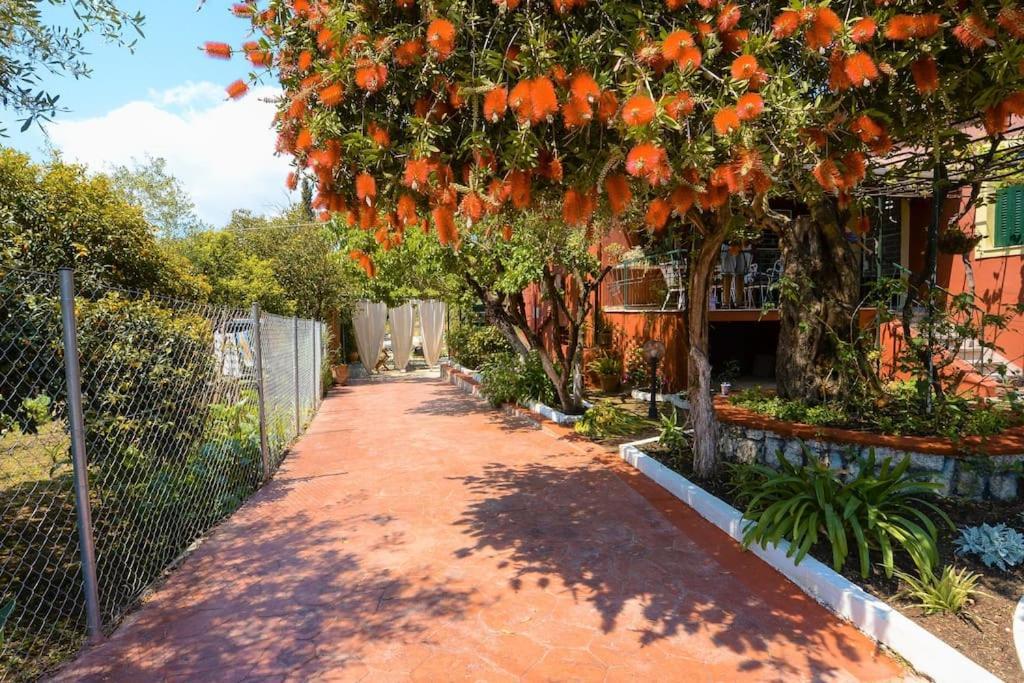 The Red House In Dassia Dış mekan fotoğraf